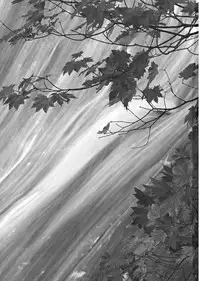 (C74) [54burger (Marugoshi)] Rainbow Bridge (Touhou Project)