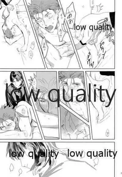 (SUPER26) [Muri Yari (Gibachi)] Hikari no Zou (Fate/stay night)