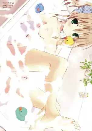 Candy Puff Shokai Genteiban + Mini Gashuu