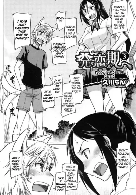 Puppy Love Season - Case 3