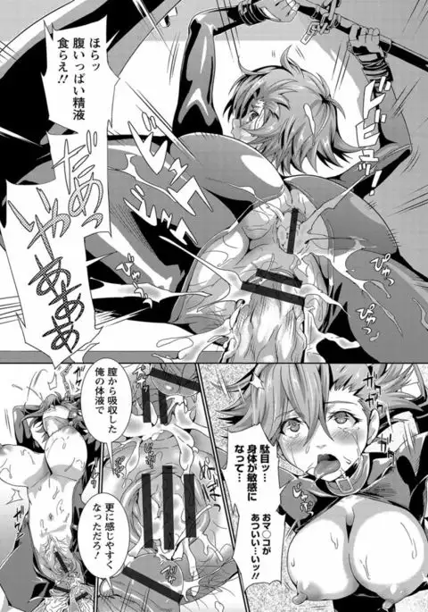 CliKan Zecchou Glamour