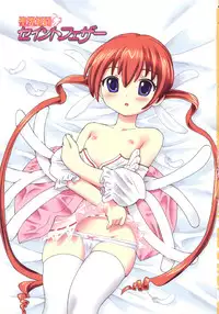 [Homing] Seiyoku Kitou Saint Feather