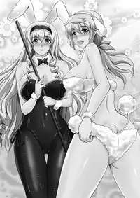 [Shouchuu MAC (Hozumi Kenji)] Poodle & Bunny Time (IS <Infinite Stratos>) [Digital]