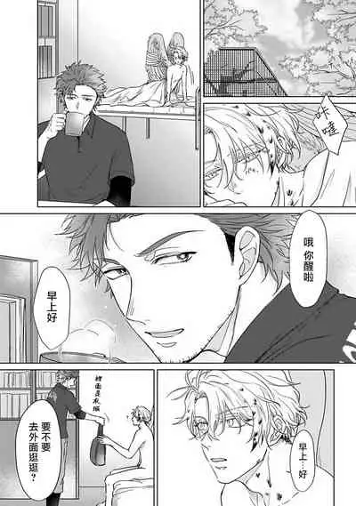 Fukurou no Koiwazurai | 猫头鹰的相思病