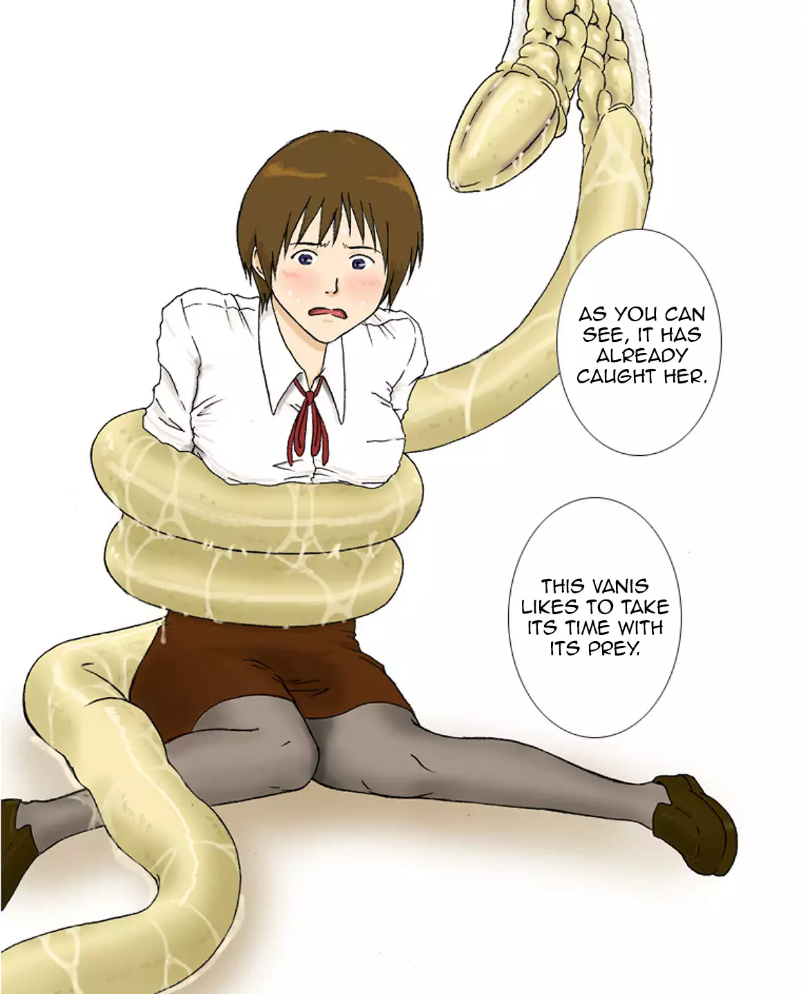 P045-02 Vanis Report