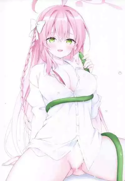 Chotto Ecchi na Hon 5