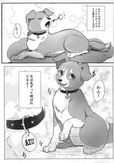 (Kemoket 11) [Kon Juuichibai (Momou)] Wonderful! 1