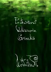 Protopterus Vallisneria Spiralis