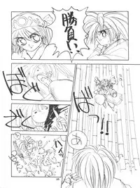 (C49) [HEALTHY PRIME (Bloomer Hogero)] Marble Image Revolution (Magic Knight Rayearth, Samurai Spirits)