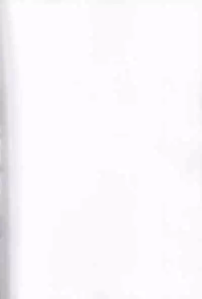 tousaku syojo 2bansenji