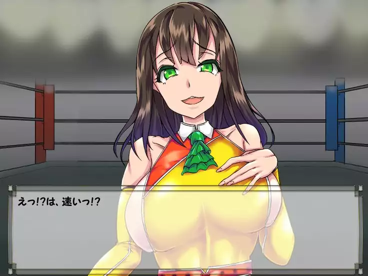 ドMプロレス2 画像集