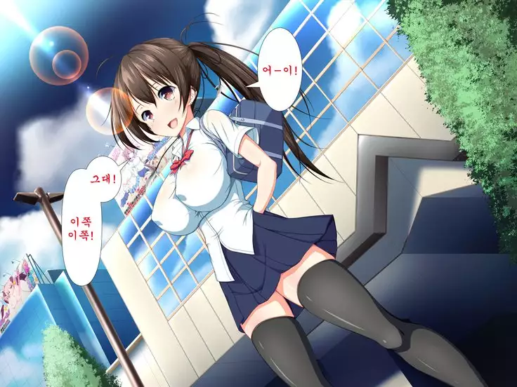 Inran Virus ~Seikoui wa Iryoukoui~ <팀 혼파망>