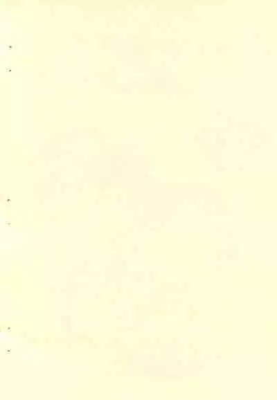 Aka Shingou ga Tomaranai