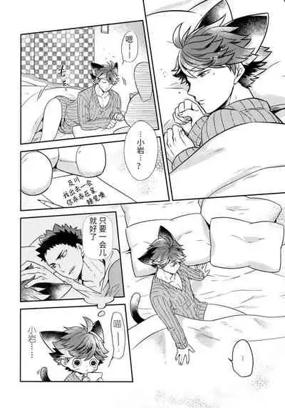 我想成为小岩的猫5I want to become Iwa-chan's Cat! 5