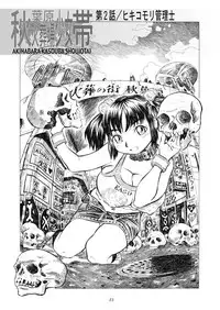 (C77) [Abyukyo Koubou (Akaze Kidai)] Akihabara Kasouba Shoujotai