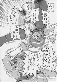 (CR30) [Studio Wallaby (Seishinja)] Princess Shiris (Record of Lodoss War)