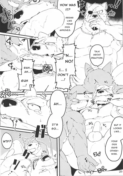 Yuusetsu Bivouac Night