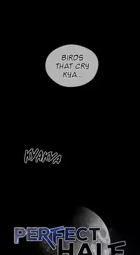 Perfect Half Ch.1-25 (English) (Ongoing)