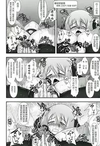 Shield Knight Elsain Vol.11 "NETHER LABORATORY"