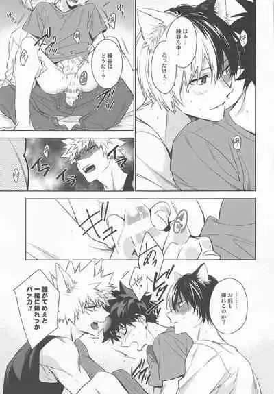 Pet-sama no Iu toori +