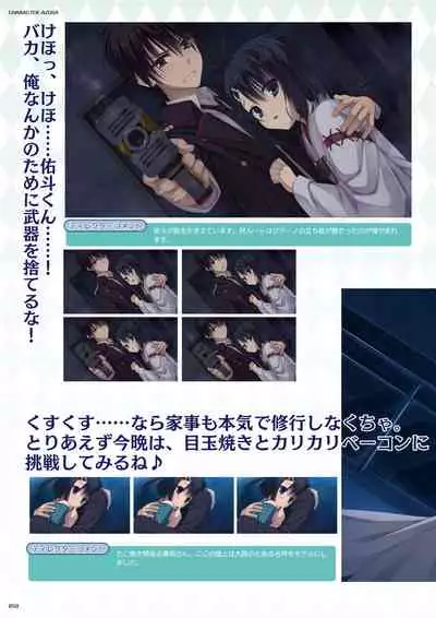 DRACU-RIOT! Official Visual Fan Book