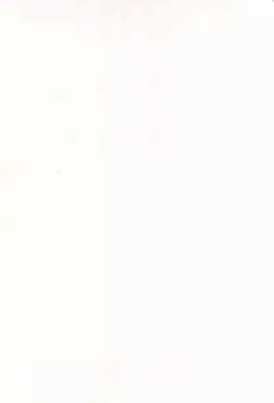 Daijoubu!! Ryouomoi da yo