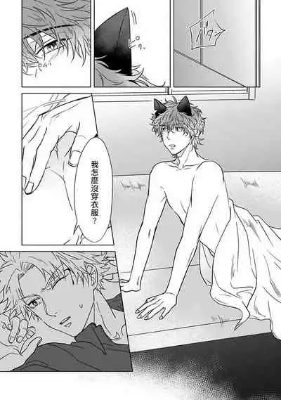 Fukurou no Koiwazurai | 猫头鹰的相思病