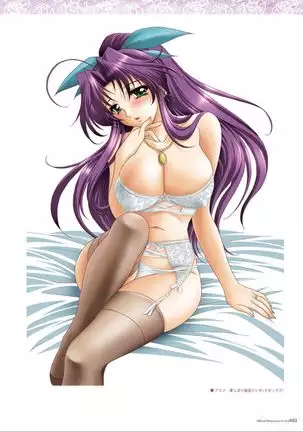 Alice soft "Tsuma wife series" Art Works