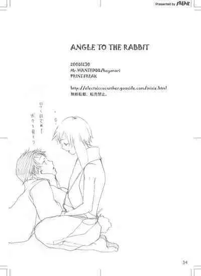ANGLE TO THE RABBIT