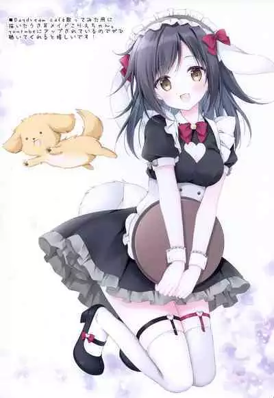 Chotto Ecchi na Hon 5