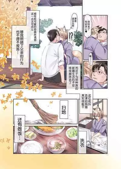 Irui Konintan Soushuuhen