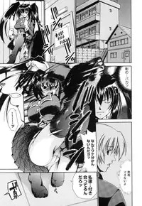 [Nikusyo] Sweet Honey