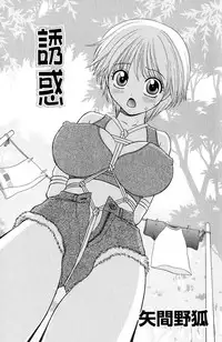 Darenimo Ienai Maru himitsu + vol.12 Forbidden Love