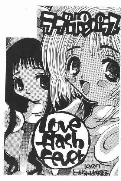 LOVE FLASH FEVER