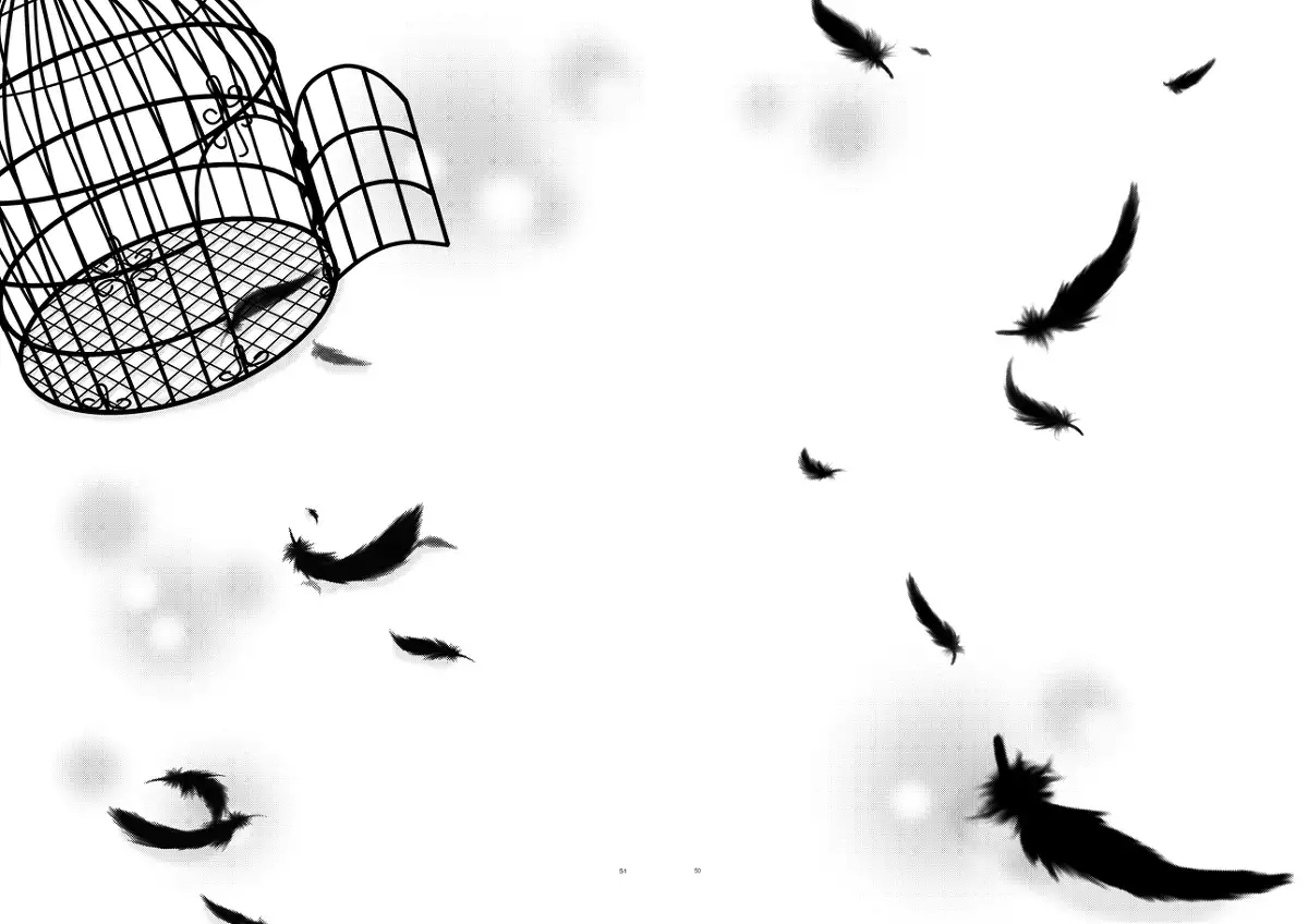 [OCELOT phalaenopsis