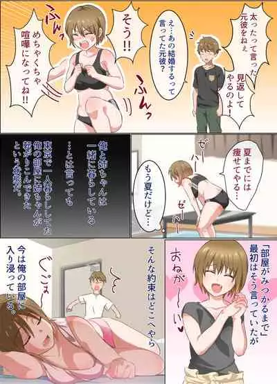 Nee-chan to Suru Hanashi