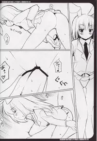 [P-POINT (Pikazo)] USAMIMI BUSTERS! (Touhou Project)