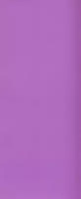 [Shimamoto Kaoru] Kinshinkyoai