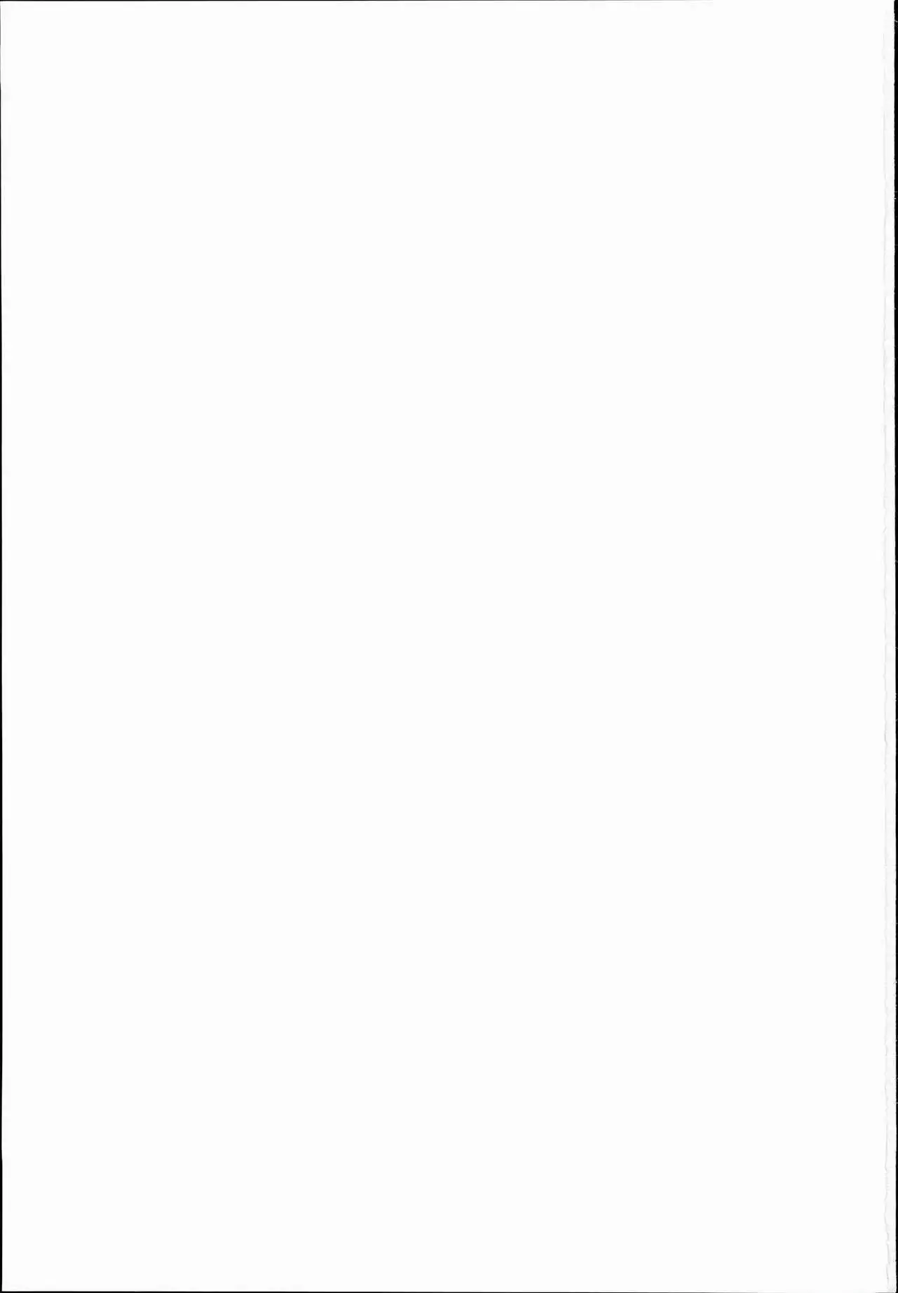 Totsuzen Gachidere LV99 Moko-tan