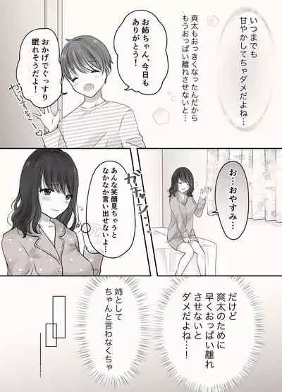 Ane to Otouto no Ecchi na Routine