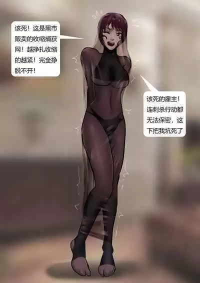 [King] Assassin (Chinese)