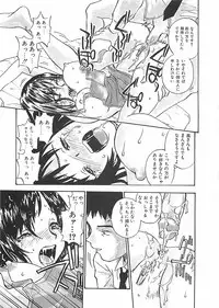 [ZERRY Fujio] Himawari