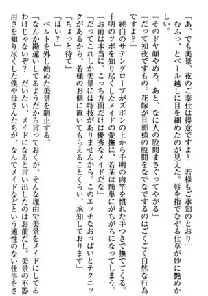 年上メイドの新婚日記