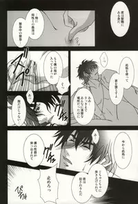 (C81) [Einsatz (snb)] The Apocalypse ~Mokushiroku~ (Fate/Zero)