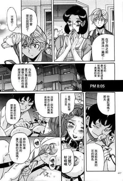 Carnation | 康乃馨