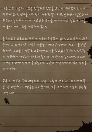 Sage Lavinia's Last Note ~ In the ruin of orc fort ~