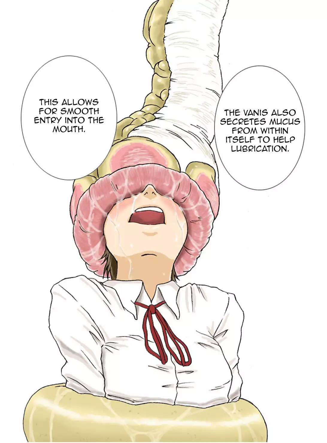 P045-02 Vanis Report