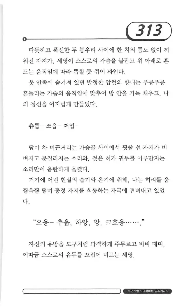 최면게임 - 타락하는 공주기사