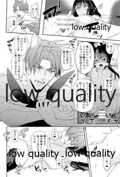 食欲旺盛な忠犬達と