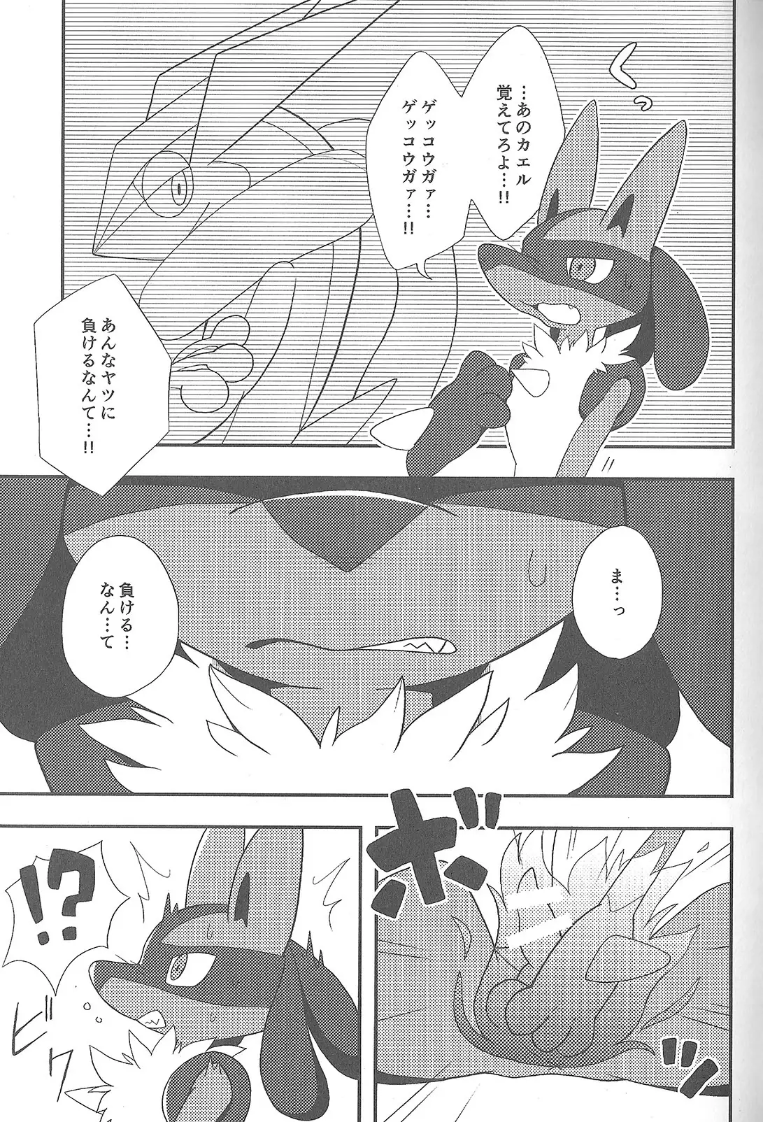 LUCARIO IJIME ANTHOLOGY